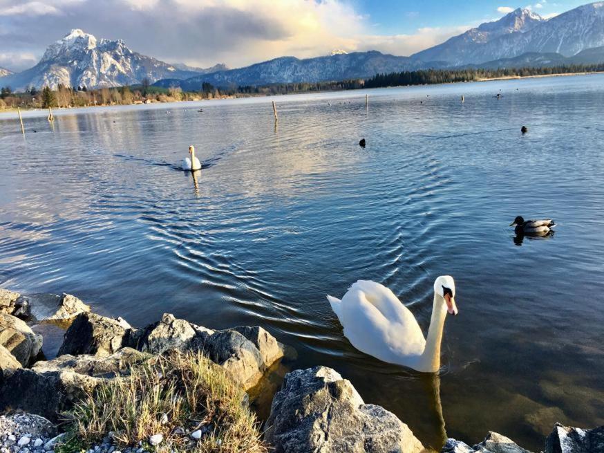 Hotel Fischer Am See Fussen Bagian luar foto